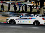 2018 British GT Brands Hatch No.118  