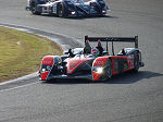 2009 Le Mans Series Silverstone No.086  
