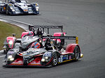 2009 Le Mans Series Silverstone No.096  