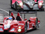 2009 Le Mans Series Silverstone No.106  