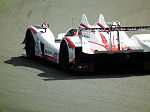 2011 Le Mans Series Silverstone No.137  