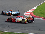 2011 Le Mans Series Silverstone No.202 